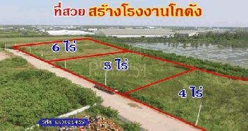 ขายที่สวยสร้างโรงงาน/โกดัง  6,8,15 ไร่ วางแปลนง่าย ใช้เทเลอร์  สะดวก  ใกล้พระราม 2 เพียง 2.5 ล้าน/ไร่